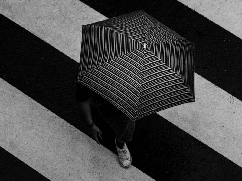 Zebra Crossing in Japan